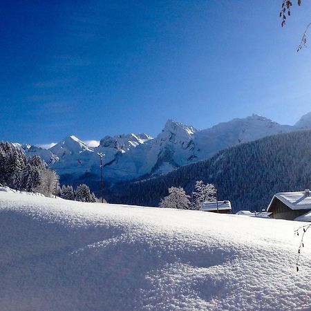 Chalet La Vigogne Et Spa Le Grand-Bornand Dış mekan fotoğraf
