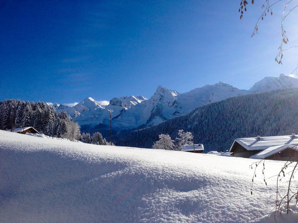 Chalet La Vigogne Et Spa Le Grand-Bornand Dış mekan fotoğraf